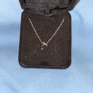 Delicate & Dainty Dolphin on 14KT chain.
